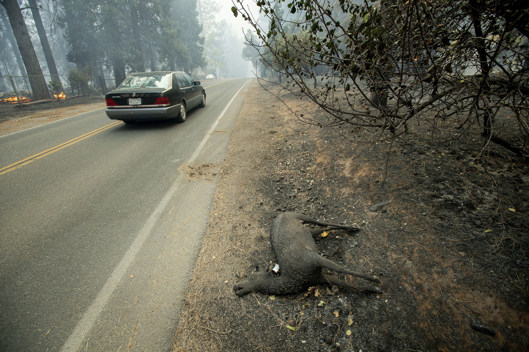 California Wildfires
